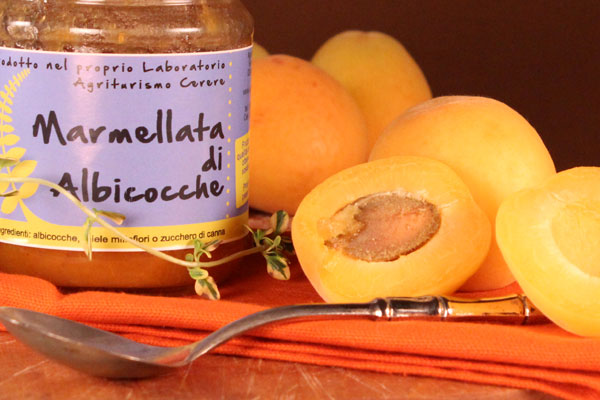 Confettura di Albicocche