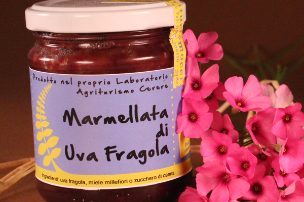 Confettura di Uva Fragola