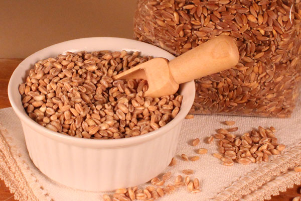 Biscotti al Farro 2