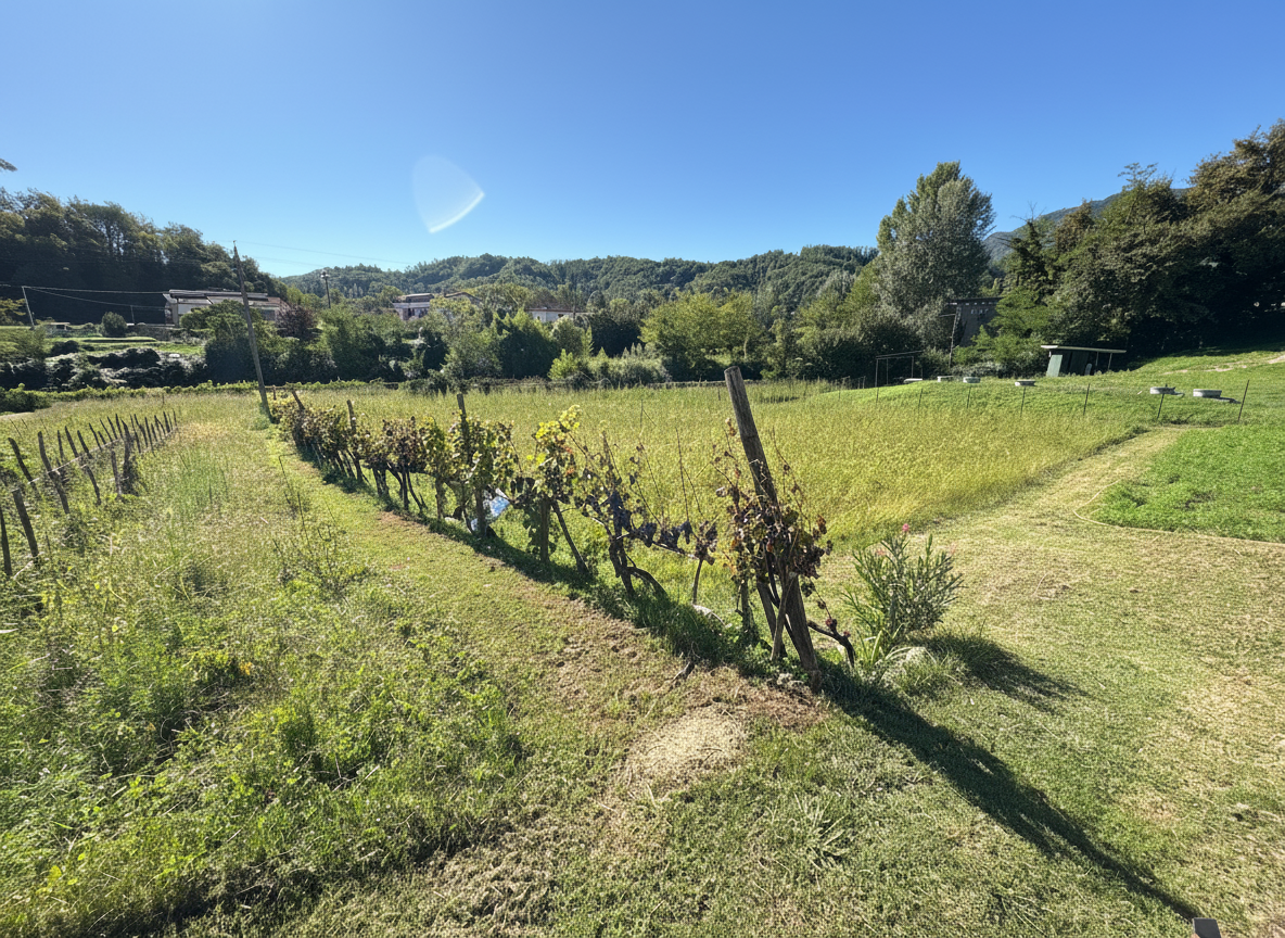Casale Caira