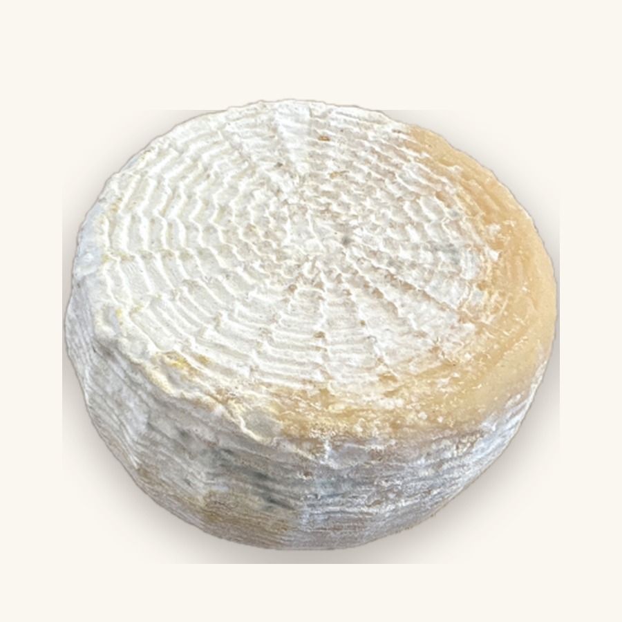 Formaggio di Capra Semi Stagionato